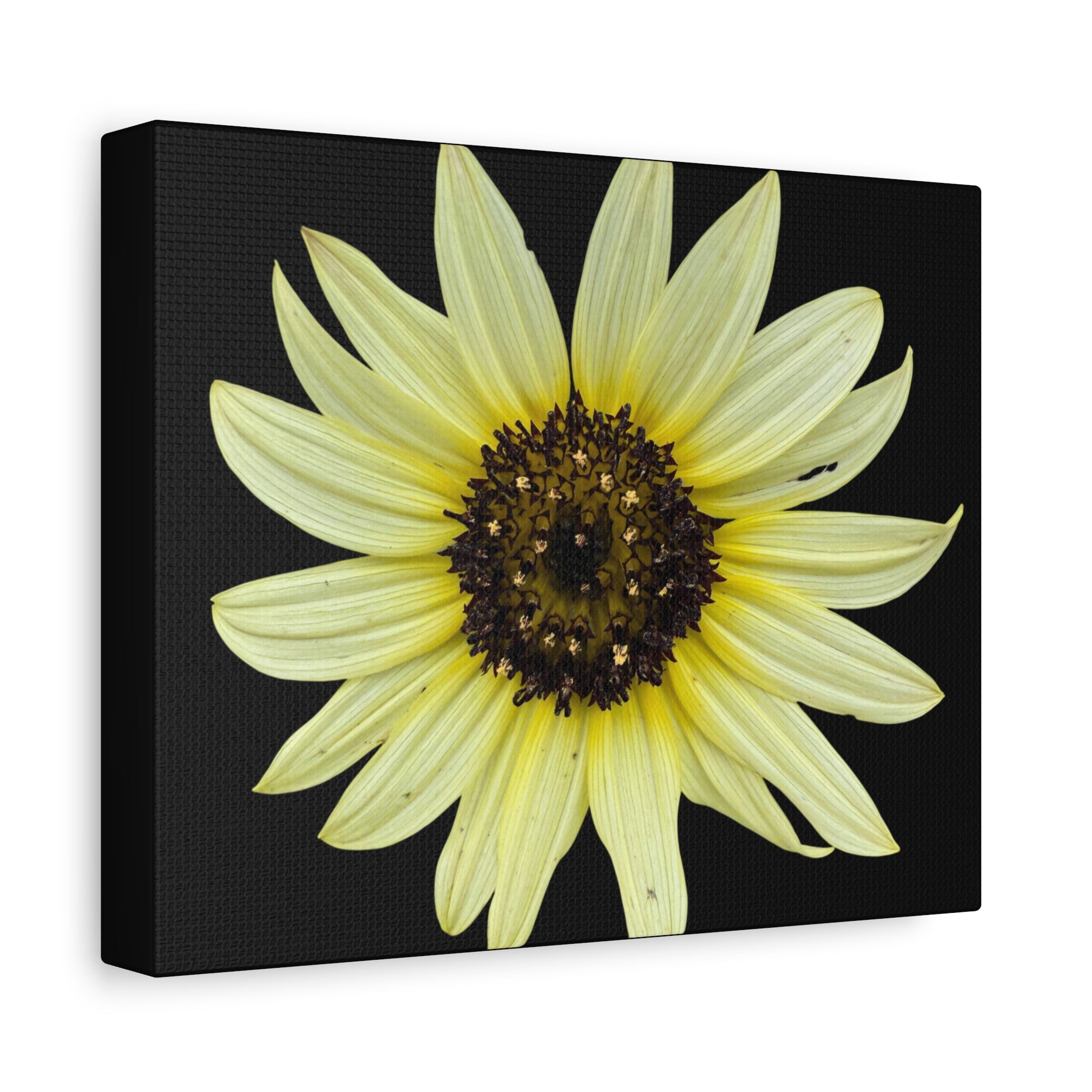 Yellow Sunflower Canvas Wall Art – Matte Stretched Floral Print