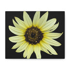 Yellow Sunflower Canvas Wall Art – Matte Stretched Floral Print