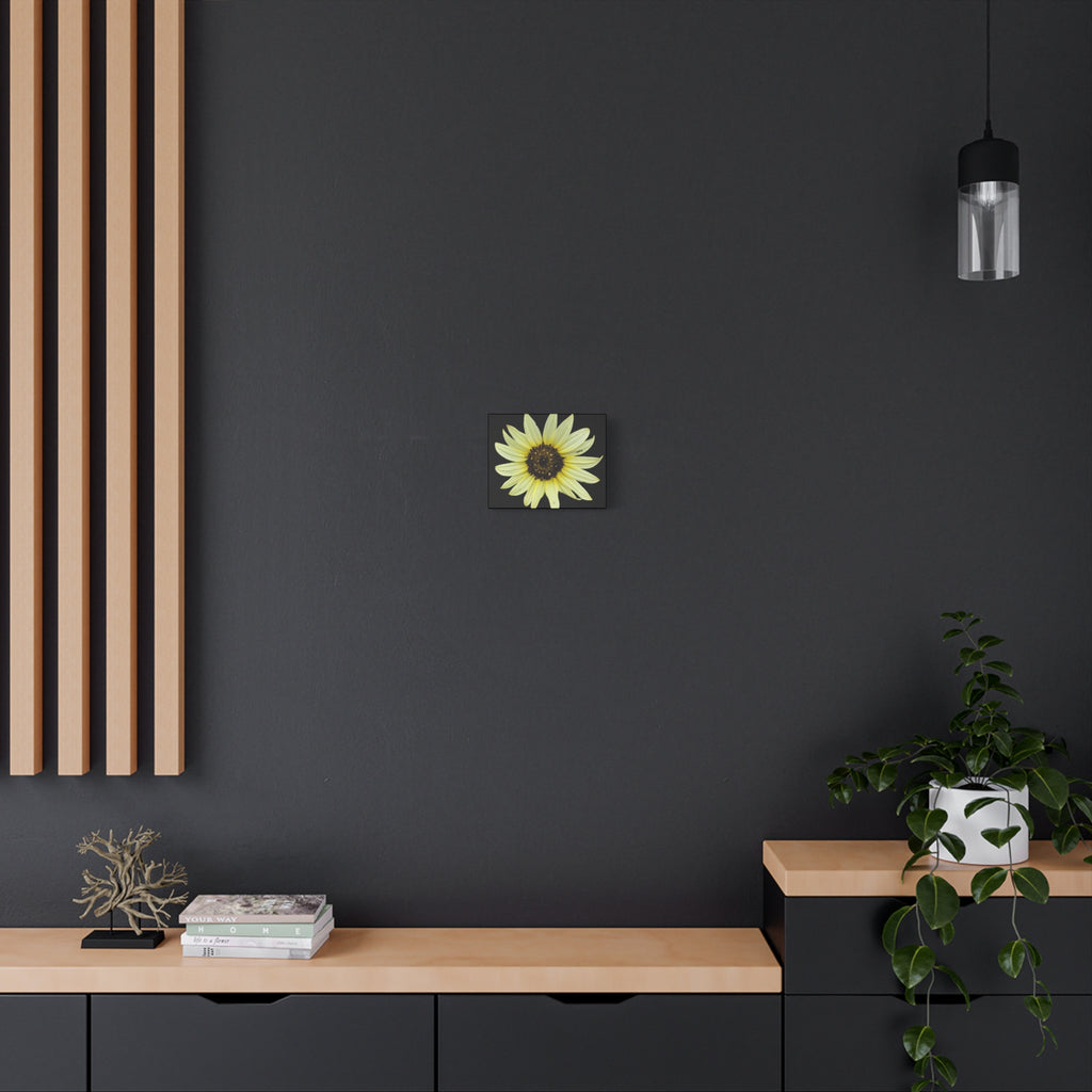 Yellow Sunflower Canvas Wall Art – Matte Stretched Floral Print