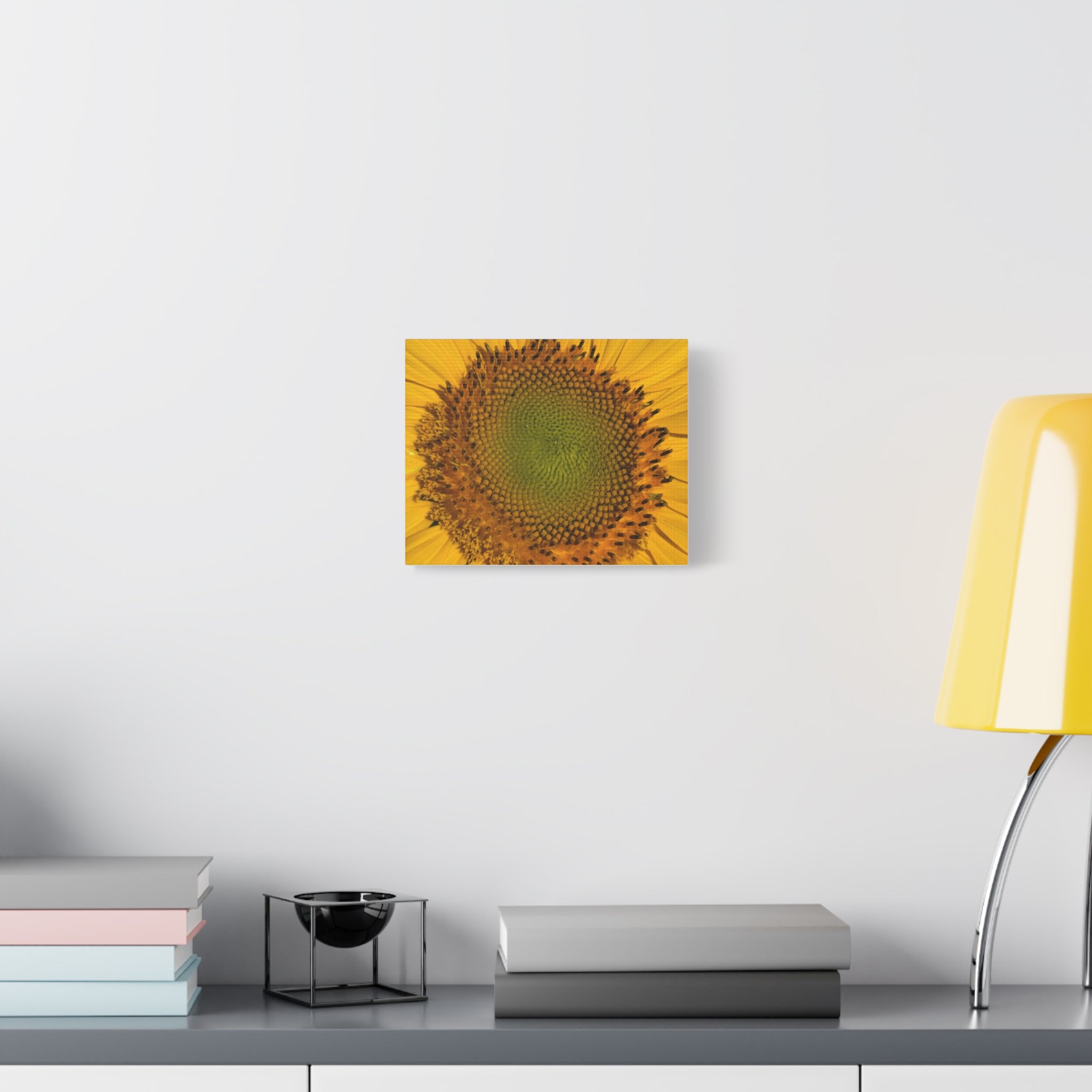 Sunflower Close-Up Matte Canvas Print (Stretched 1.25")